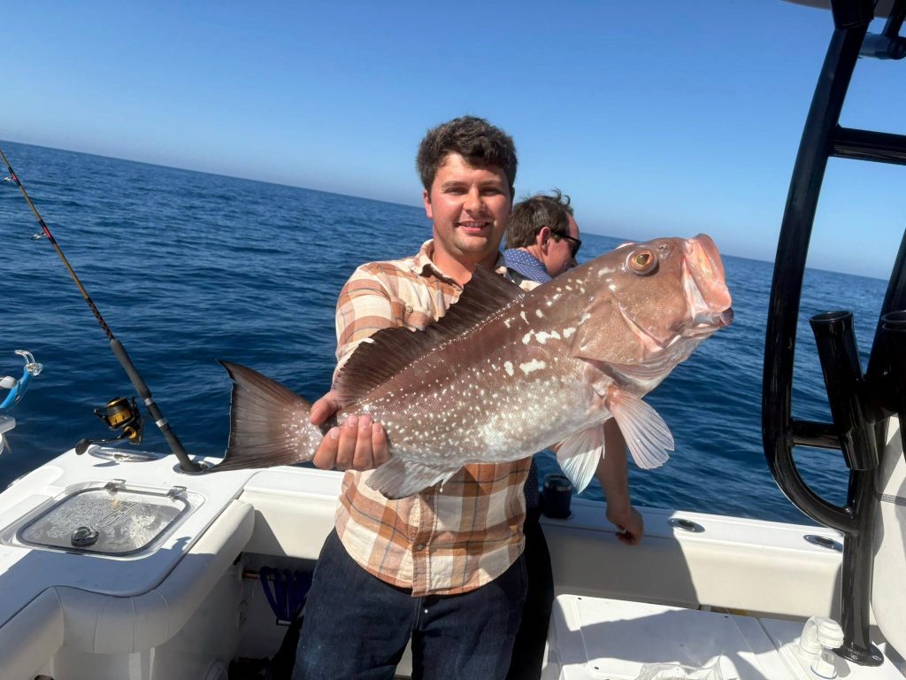 Large Grouper caught on Placida Offshore Fishing Charter